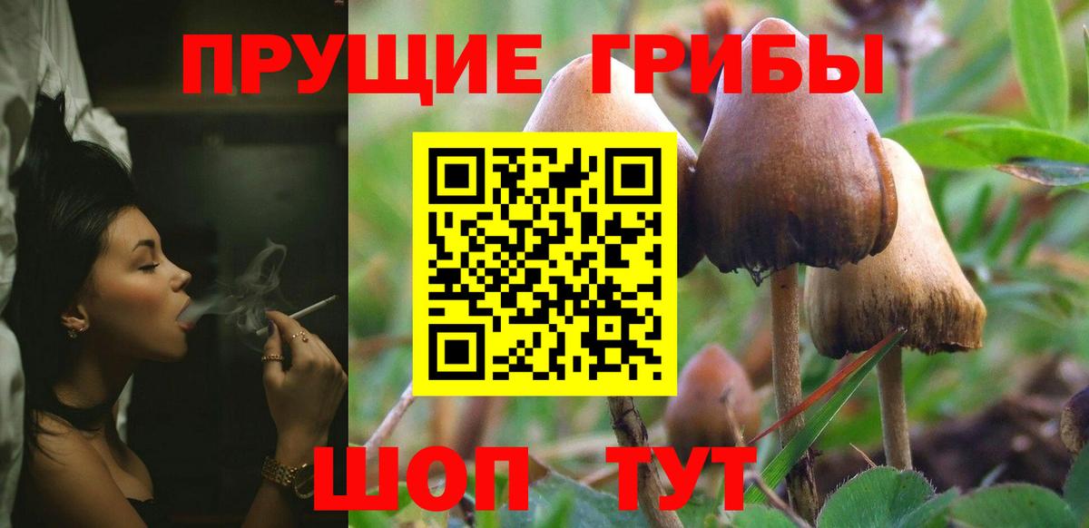 Галлюциногенные грибы прущие грибы  Вход с VPN  Мирный  Галлюциногенные грибы мухоморы 